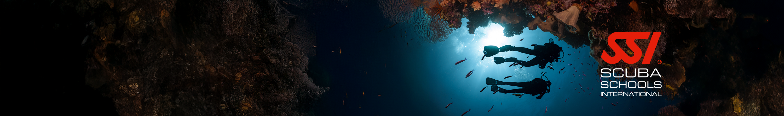 collection-banner-image