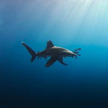 How One of the Worst Dives of My Life Became One of the Most Memorable