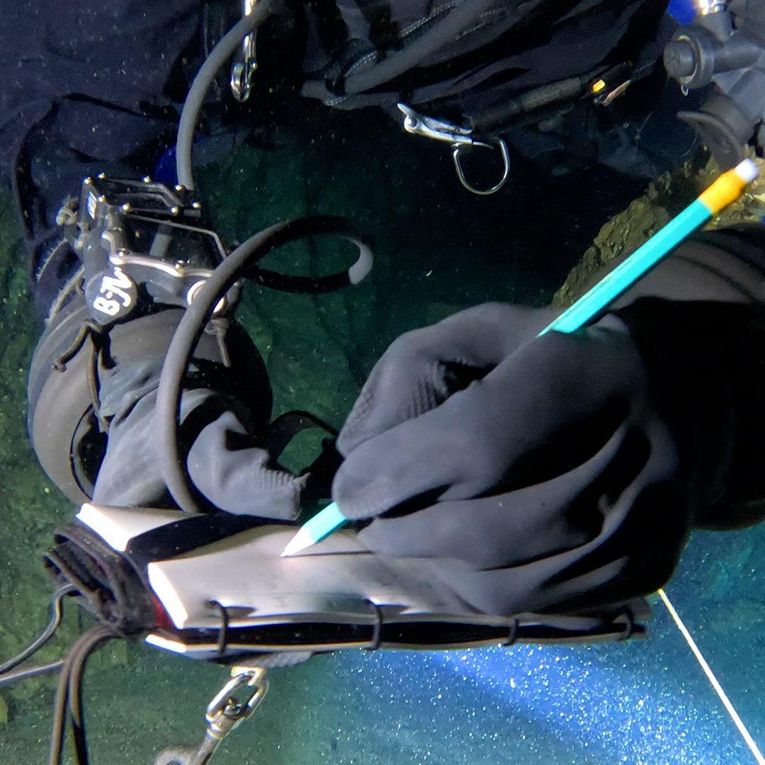 Ecosystem Characterization of the Bue Marino Cave System