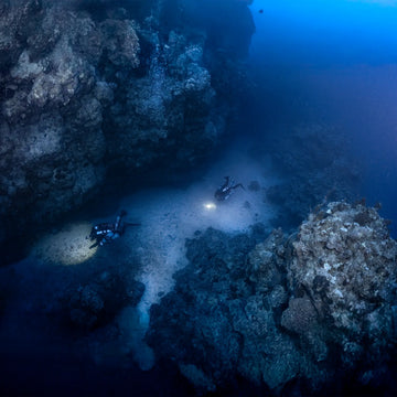Solo Diving vs Buddy System: Why Team Still Matters