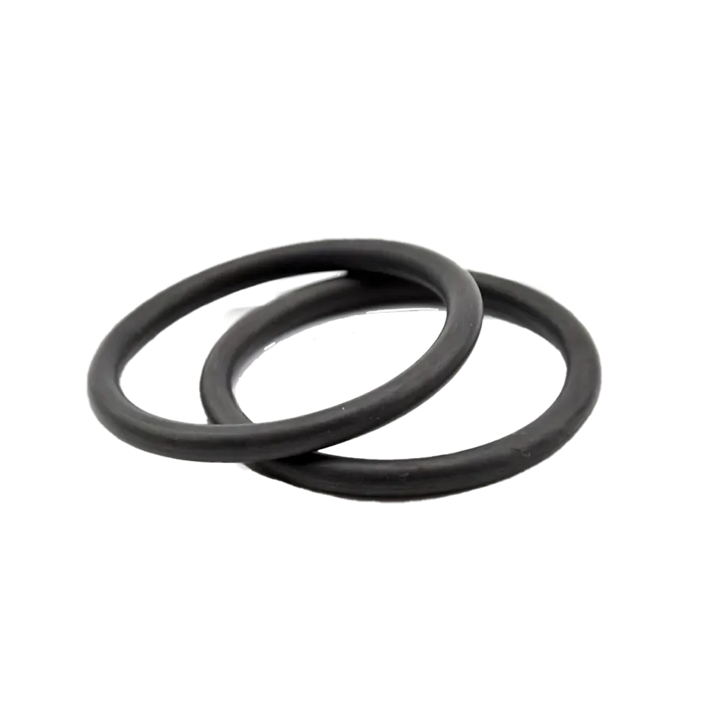 XR Explorers BC Rubber Band