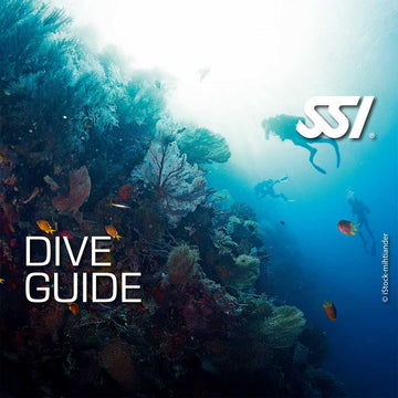 SSI Dive Guide | Divemaster
