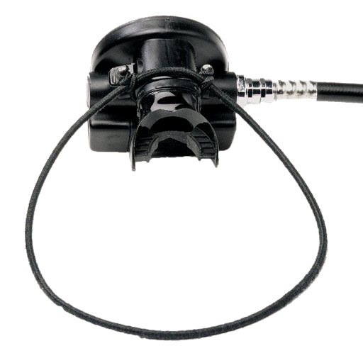 Backup Regulator Necklace