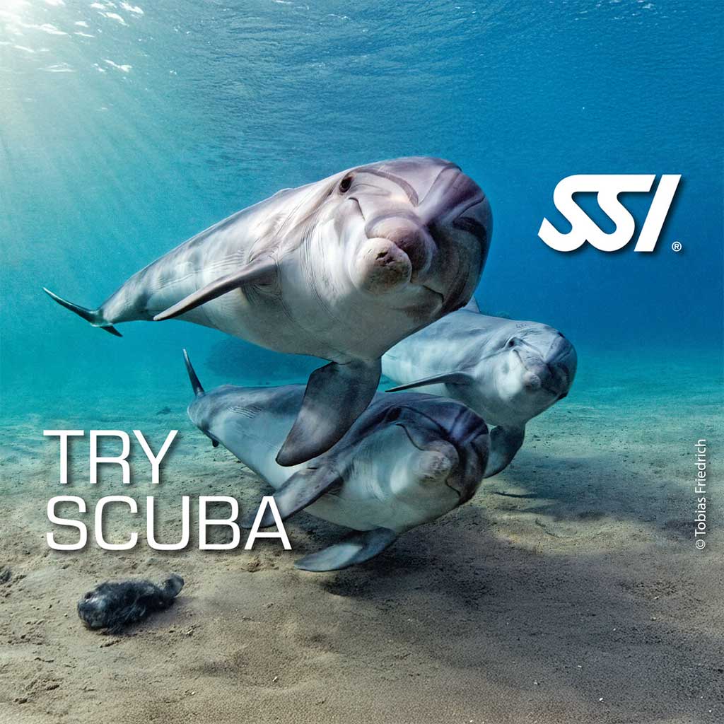 Try Scuba Diving