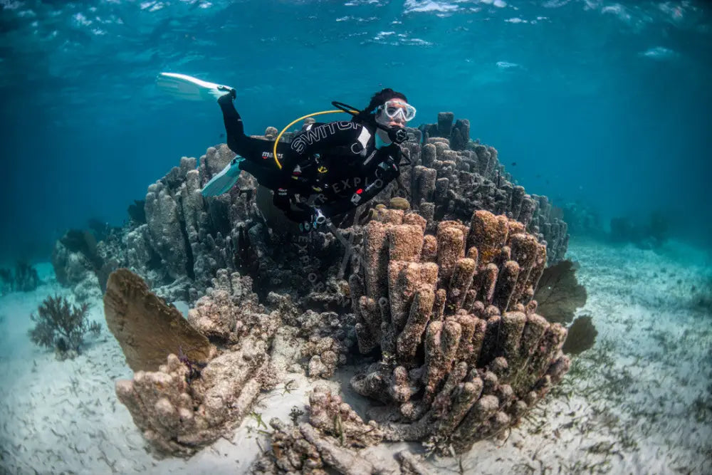 Diver maintaining perfect trim while handling a search line to avoid silt in Dubai