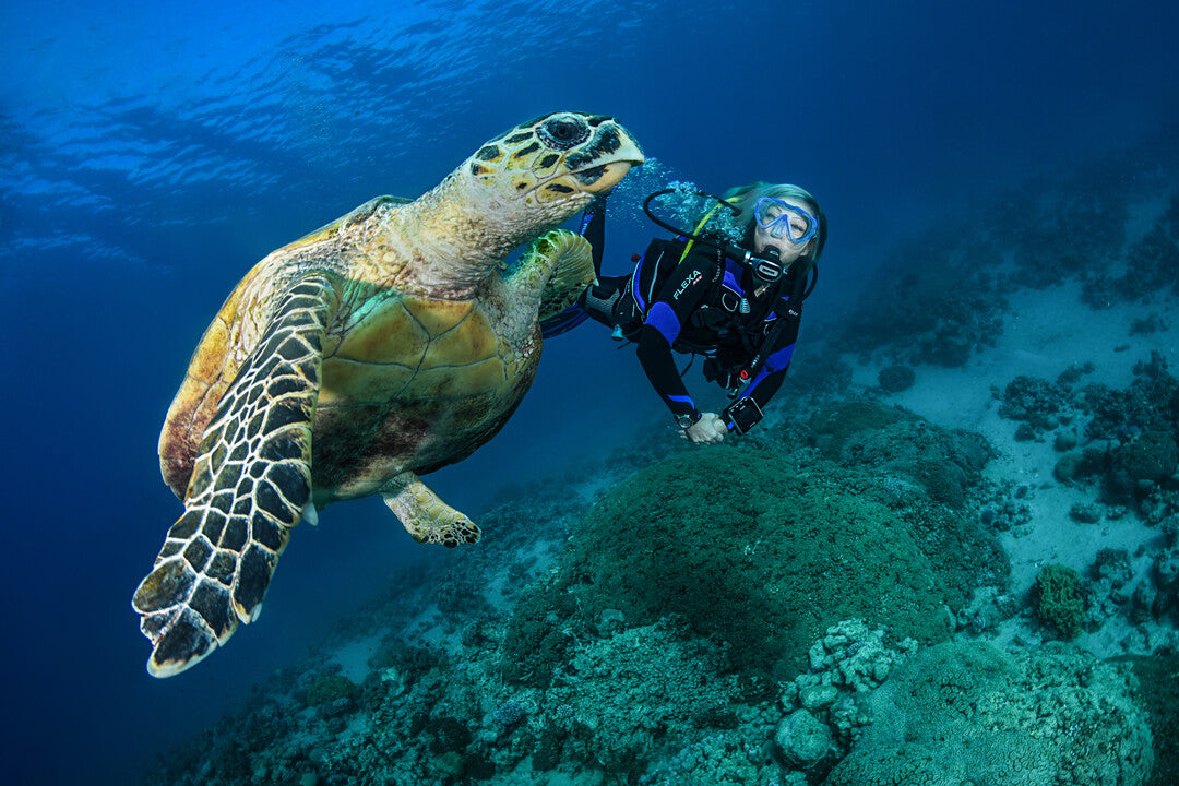 Technical diving team descending along a deep wall reef in Bahrain waters