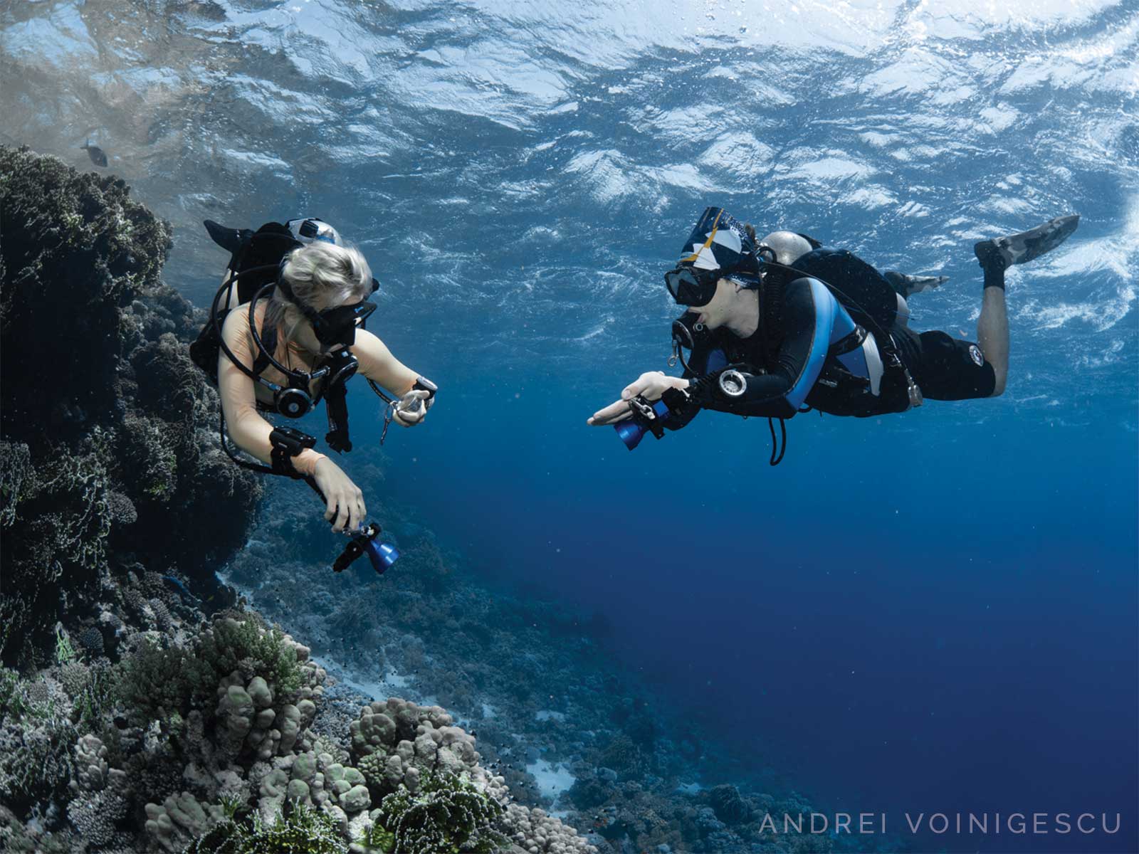 Two GUE scuba divers exploring underwater scenery with coral and blue water.