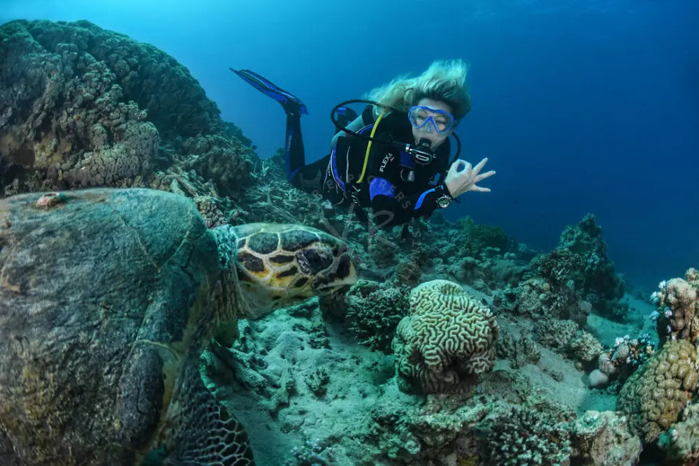 Diver learning the frog kick finning technique for better propulsion in Saudi Arabia KSA