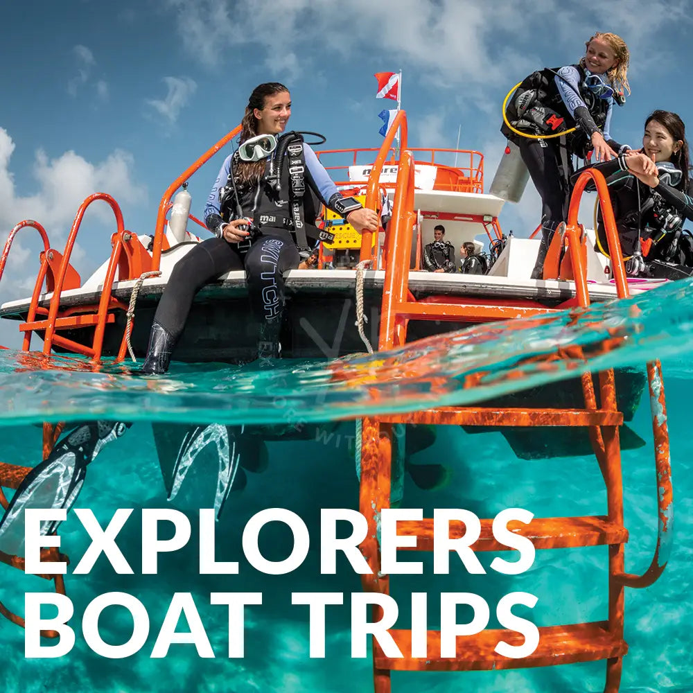 Orange metal ladder with rusted rungs partially submerged in clear turquoise water during full-day Kuwait Islands dive trip