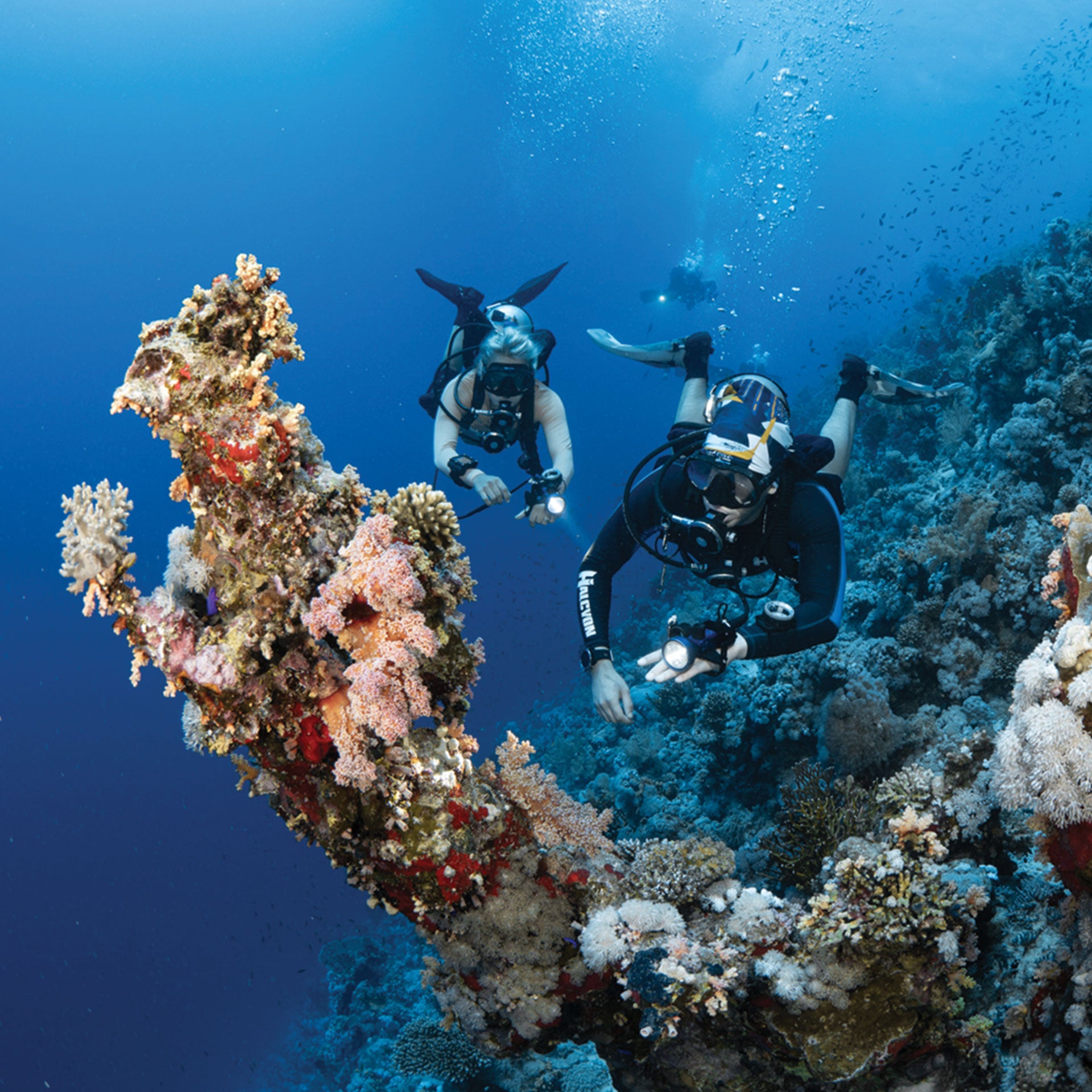 Student practicing the frog kick propulsion technique during confined water training in Saudi Arabia