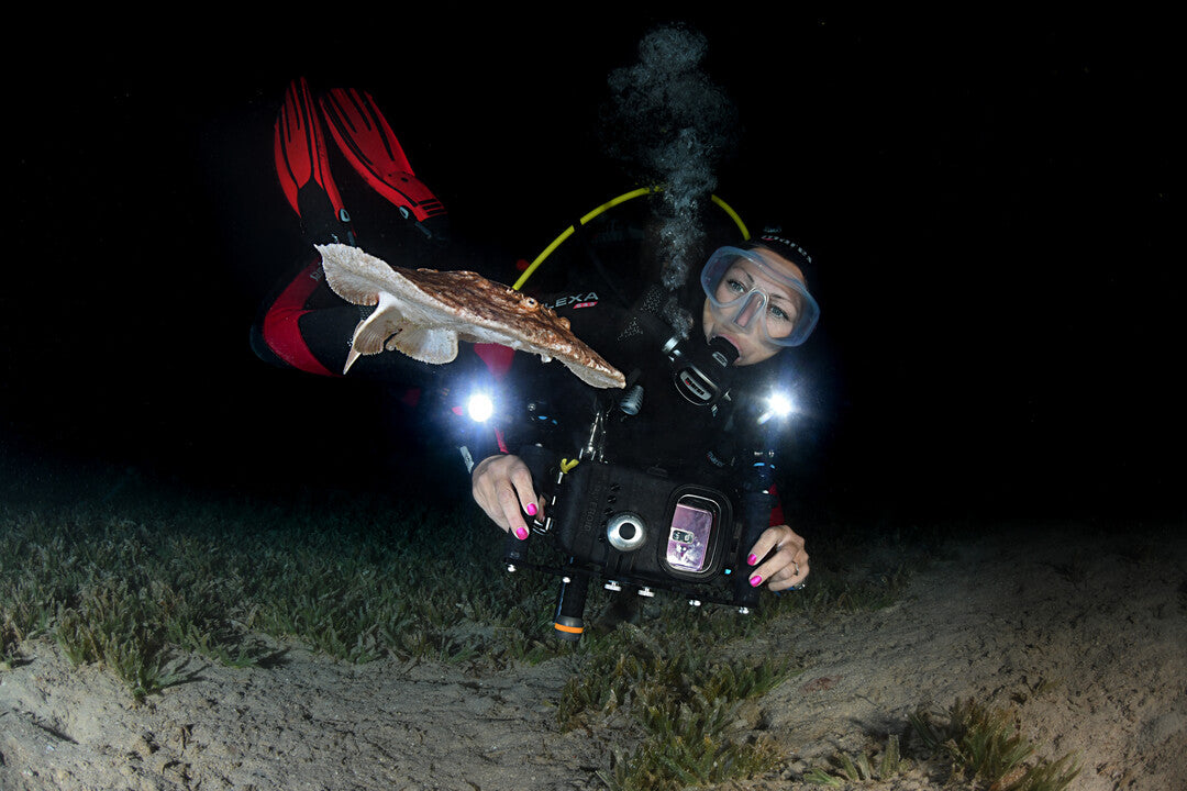 Diver observing nocturnal marine life and bioluminescence during a night dive in Qatar