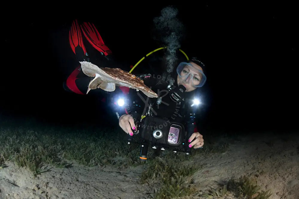 Diver observing nocturnal marine life and bioluminescence during a night dive in Qatar
