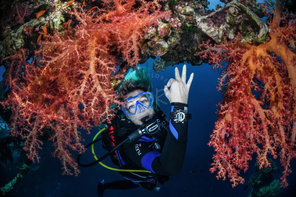prime-explorer-bundle-nitrox-buoyancy-course-xr-explorers
