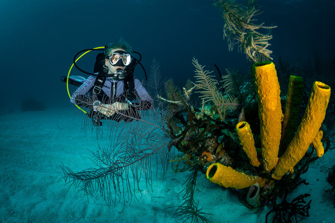 Diver demonstrating excellent buoyancy control to protect the reef in Bahrain