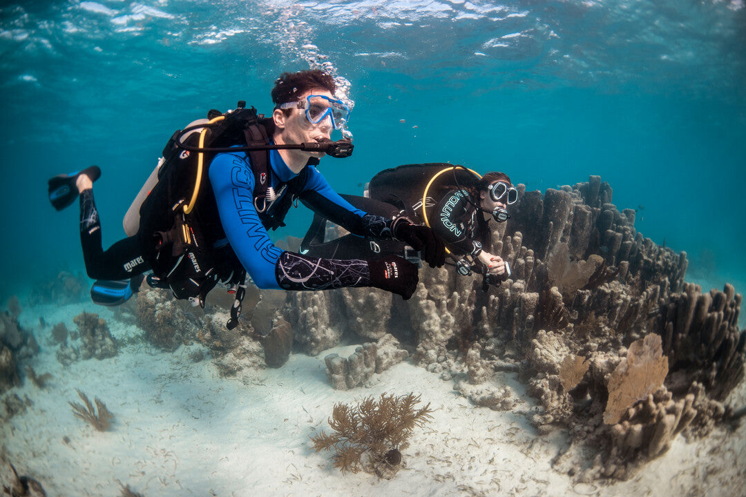 Rusty diver relearning how to set up scuba gear and regulator in Saudi Arabia