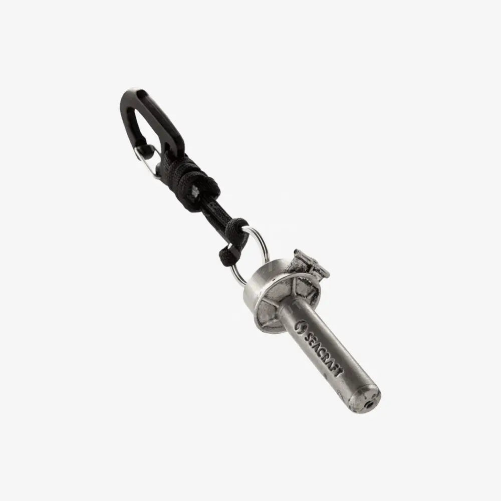 Metal keychain with a carabiner on a white background