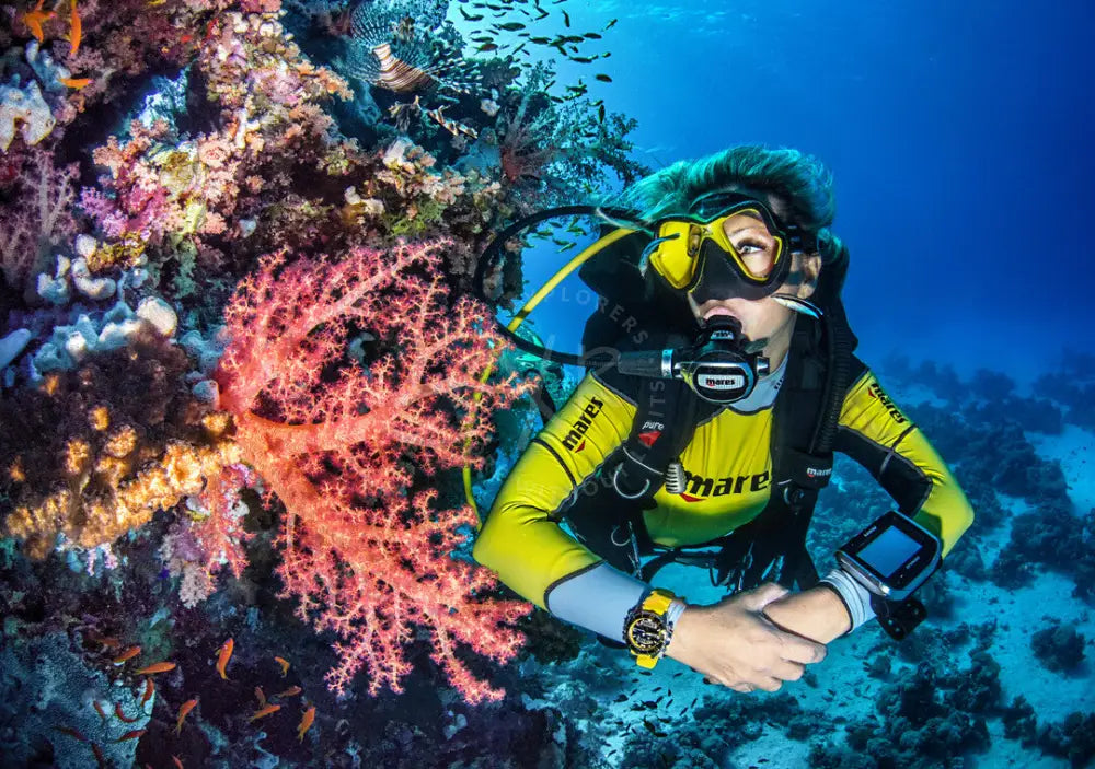 ssi-basic-diver-student-qatar-xr-explorers