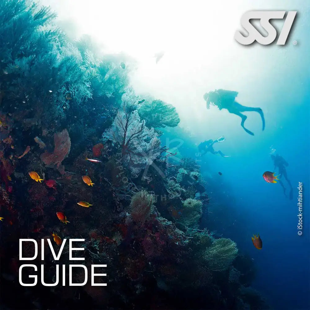 Underwater scene with coral, fish, and a diver, with 'DIVE GUIDE' text overlay and the SSI logo.