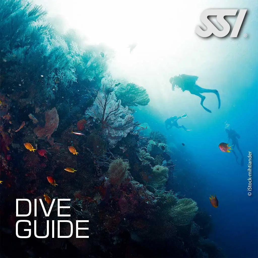 Underwater scene with coral, fish, and a diver, with 'DIVE GUIDE' text overlay and the SSI logo.