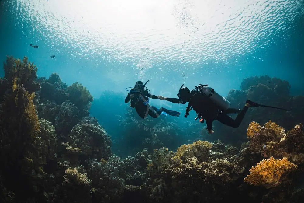 Divers performing a safety stop on a line after a deep dive in Qatar