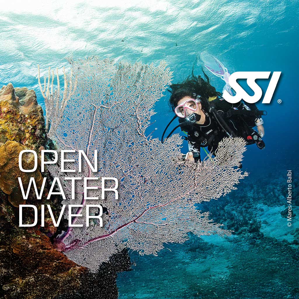 Promotional image for SSI Open Water Diver course featuring a diver underwater with marine life, including a large sea fan.