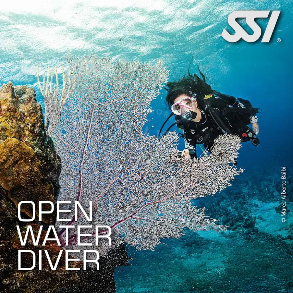 Promotional image for SSI Open Water Diver course featuring a diver underwater with marine life, including a large sea fan.