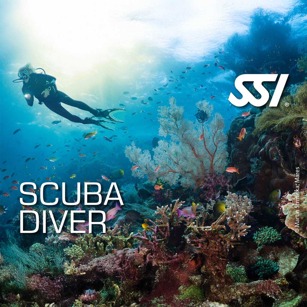 Promotional image for SSI Scuba Diver course featuring a diver underwater with colorful corals and fish in the background, with the SSI logo and text 'SCUBA DIVER' prominently displayed.
