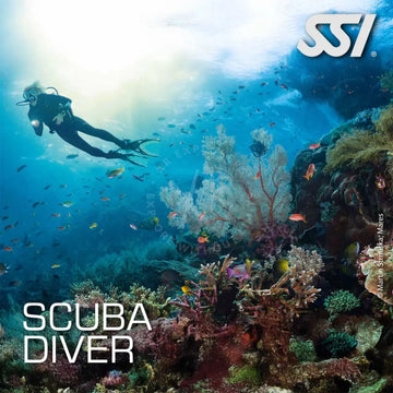 Promotional image for SSI Scuba Diver course featuring a diver underwater with colorful corals and fish in the background, with the SSI logo and text 'SCUBA DIVER' prominently displayed.