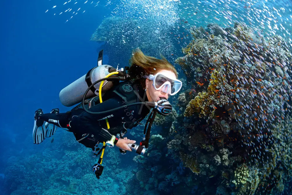 An advertisement for scuba diving with an image of a dolphin and the text 'TRY SCUBA' along with the SSI logo.