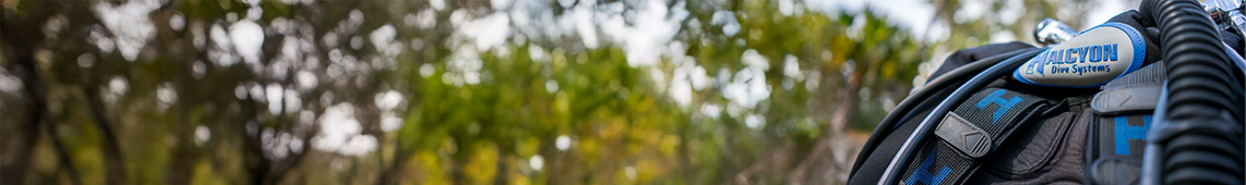 collection-banner-image